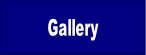 Gallery.